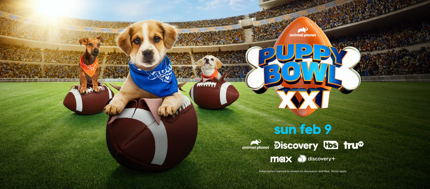 puppy bowl animal planet