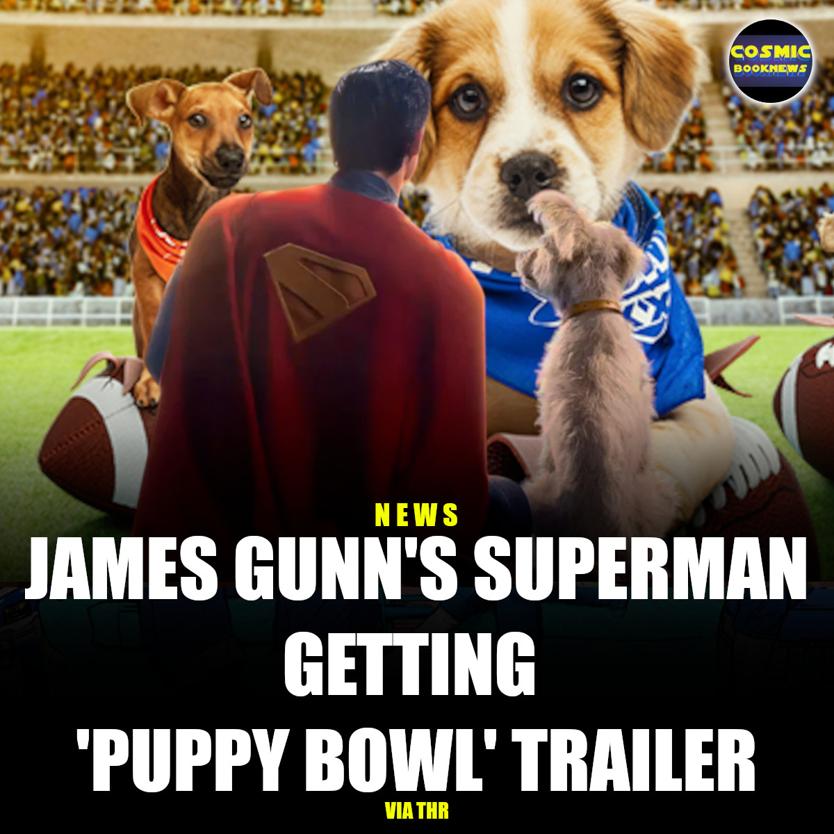 supermanpuppybowltrailer