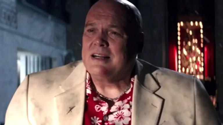 Vincent D'Onofrio Fires Back Against Woke Daredevil Concerns