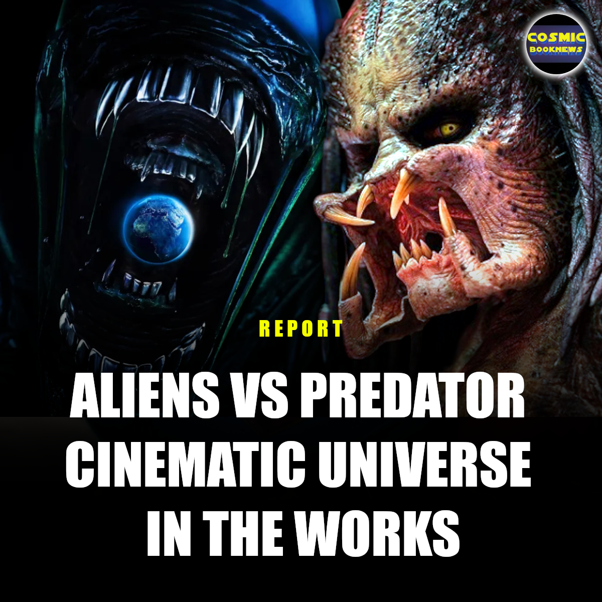 avp