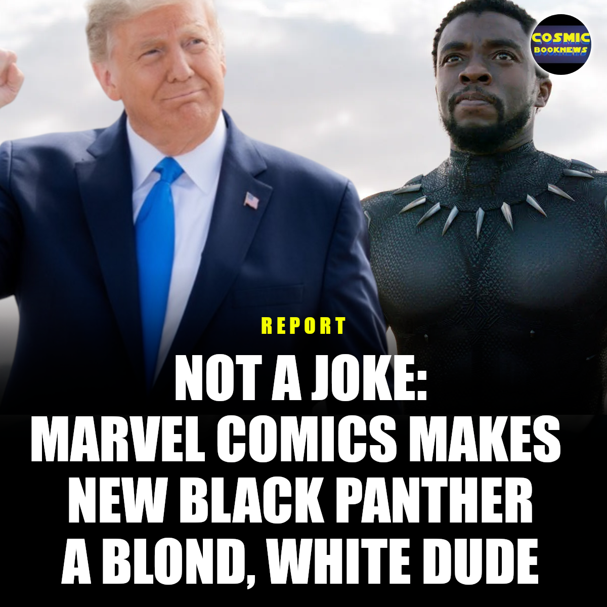 TRUMPBLACKPANTHER