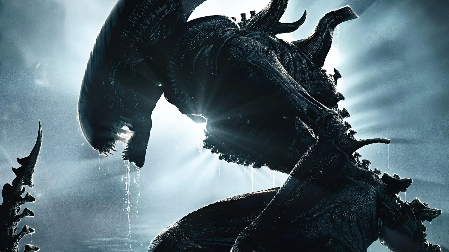 Alien: Romulus Sequel Is A Go: Films In October