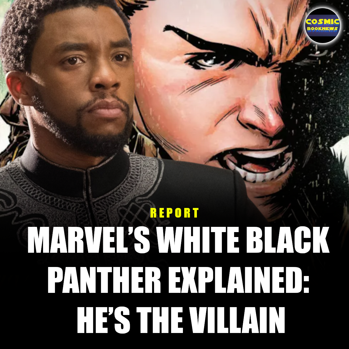 whiteblackpanther
