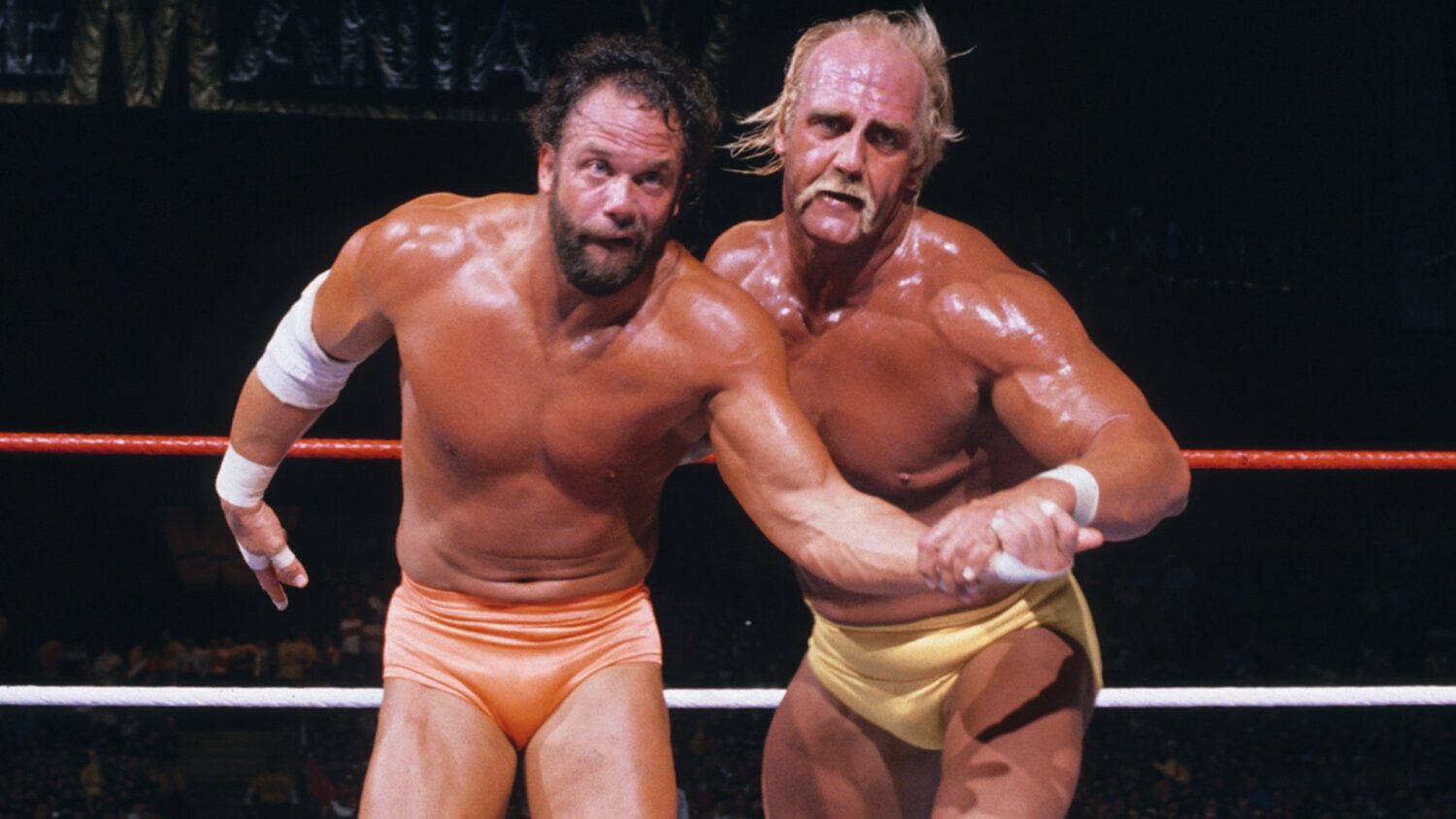 hogan vs macho man hogan vs macho man