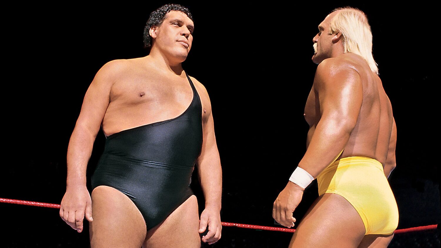 hulk hogan vs andre