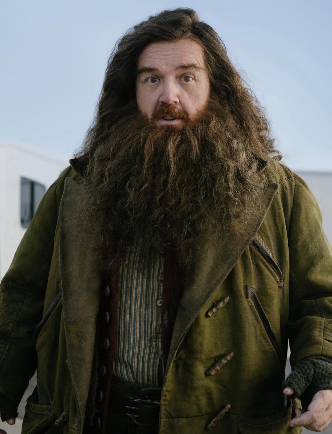 nick frost hargrid harry potter hbo nick frost hargrid harry potter hbo