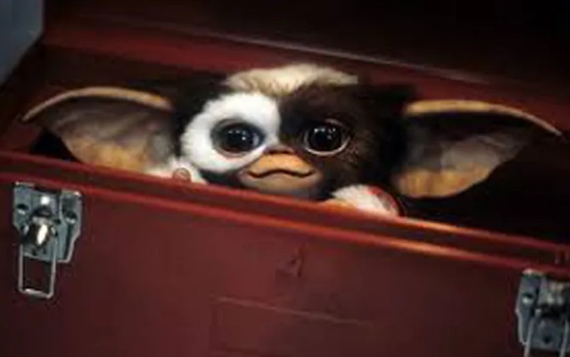 gremlins gizmo gremlins gizmo