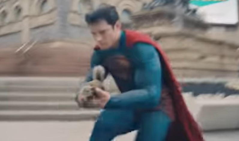 superman saves squirrel