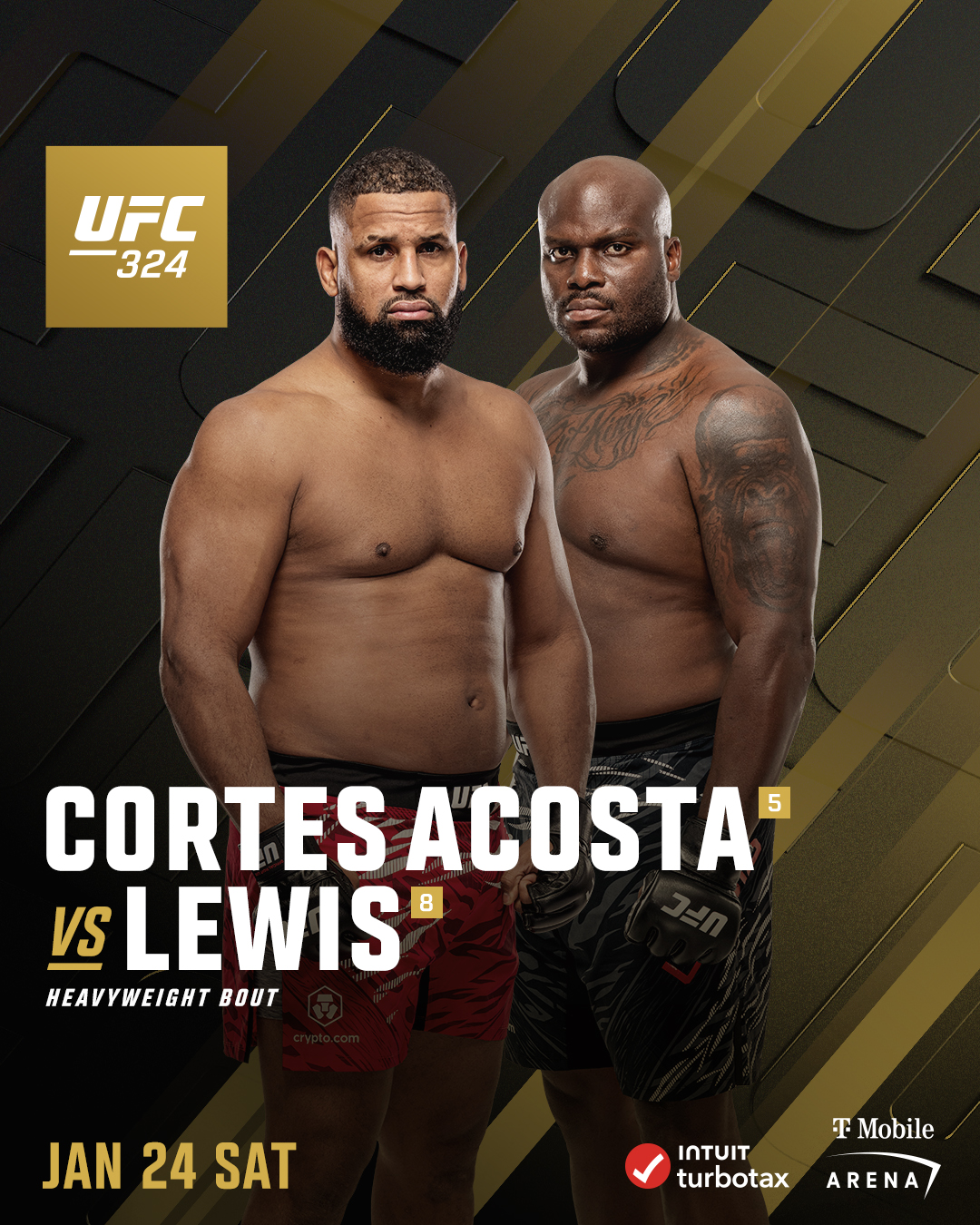 ufc345fights ufc345fights