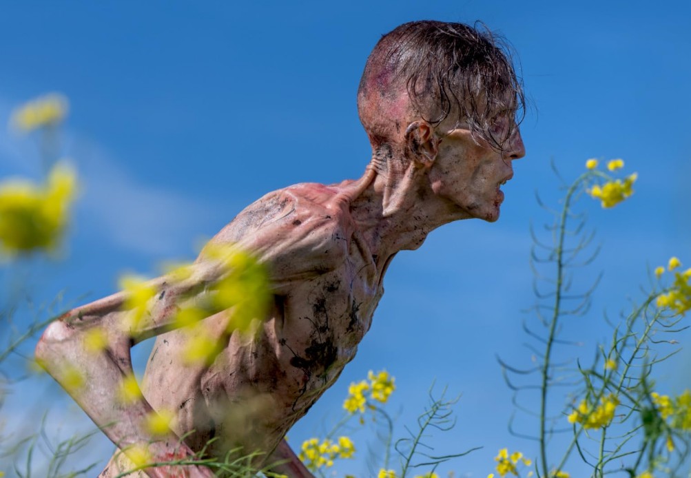 28 years later infected