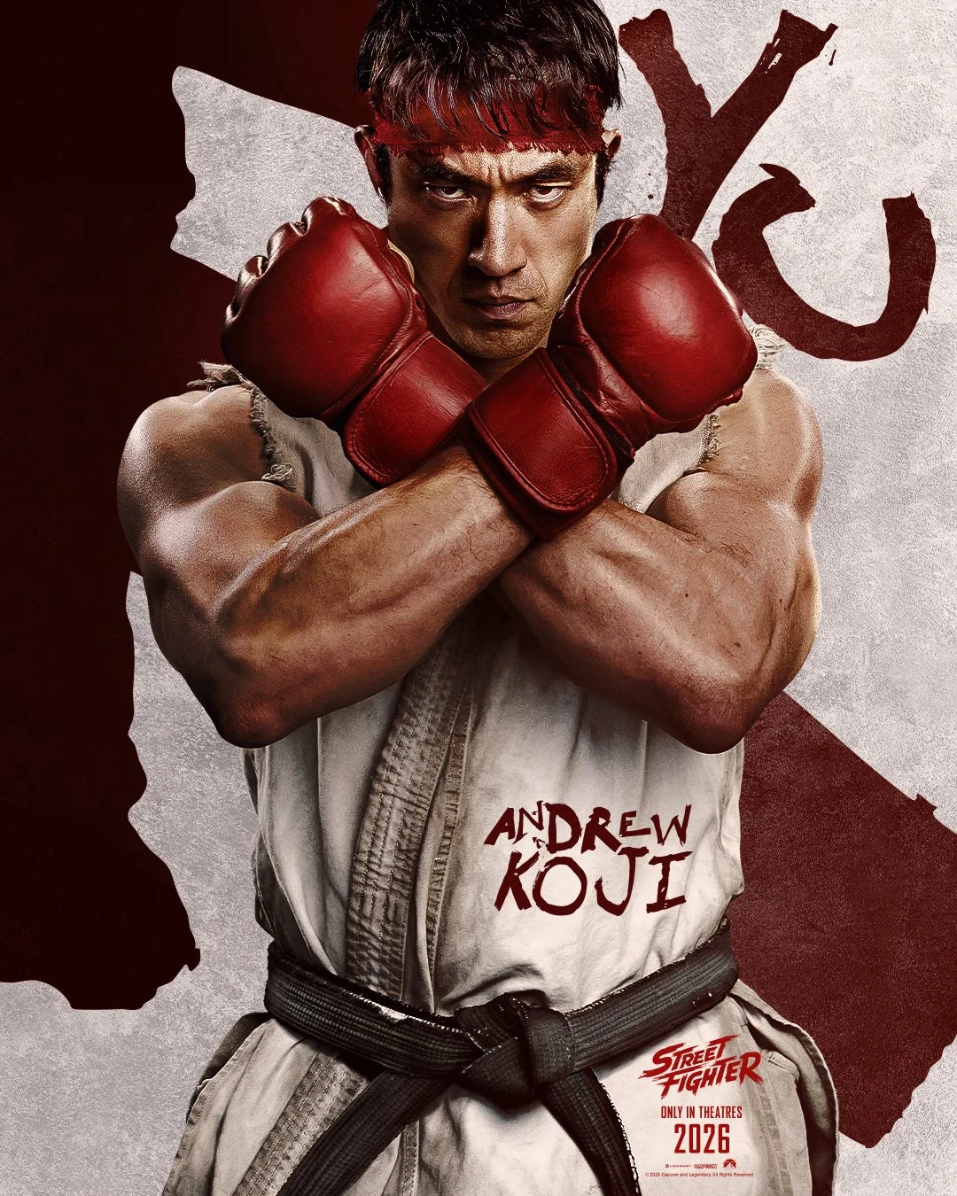 streeet fighter character poster 1