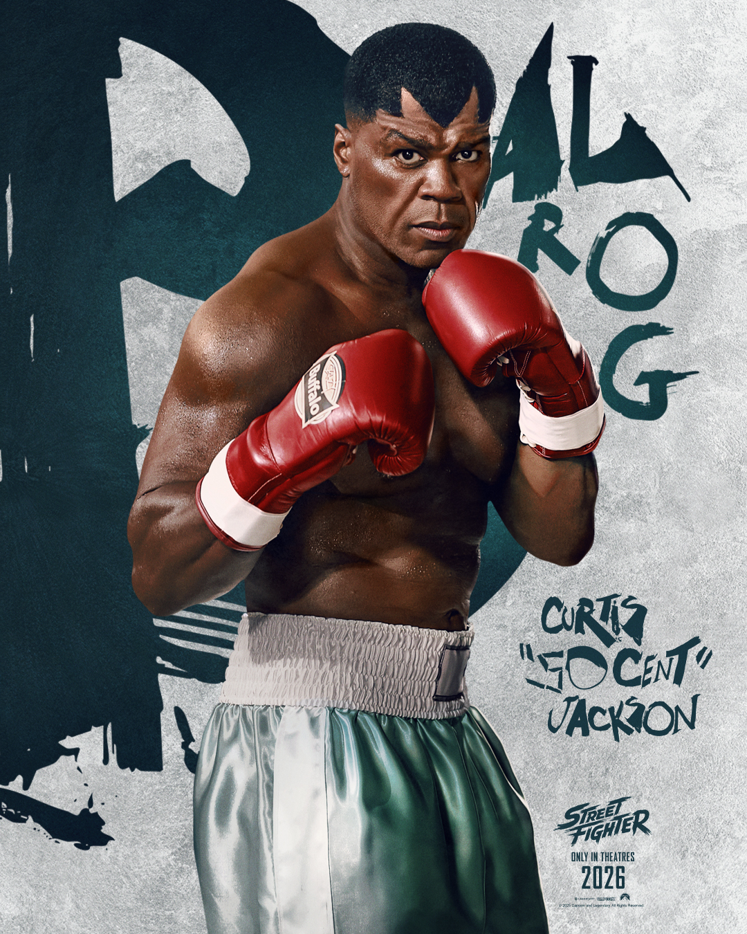 streeet fighter character poster 16