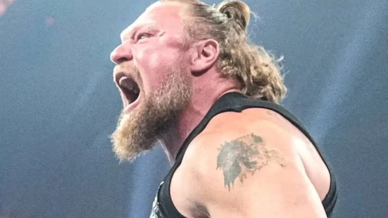 Brock Lesnar Confirms He’s Entering The WWE Royal Rumble