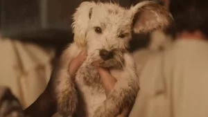 James Gunn’s Supergirl Drops Puppy Bowl Spot Titled 'Home'