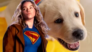 Supergirl Skips Super Bowl Trailer, But DC Puppy Promo Returns With New Superhero Dogs