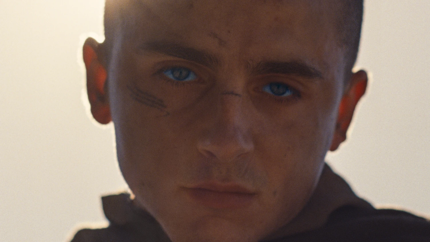 Dune 3 Trailer Released Online With New Look At Timothée Chalamet, Zendaya, And More