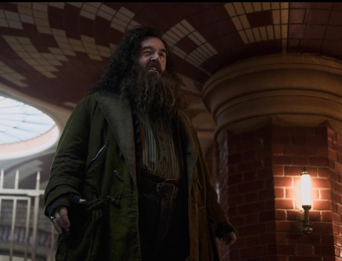 harry potter 8