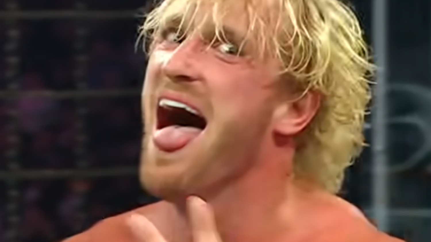 logan paul million dollar box mfl Logan Paul Bets $1 Million He’d Beat Any NFL Player After Tom Brady Calls Him a 'B-tch'