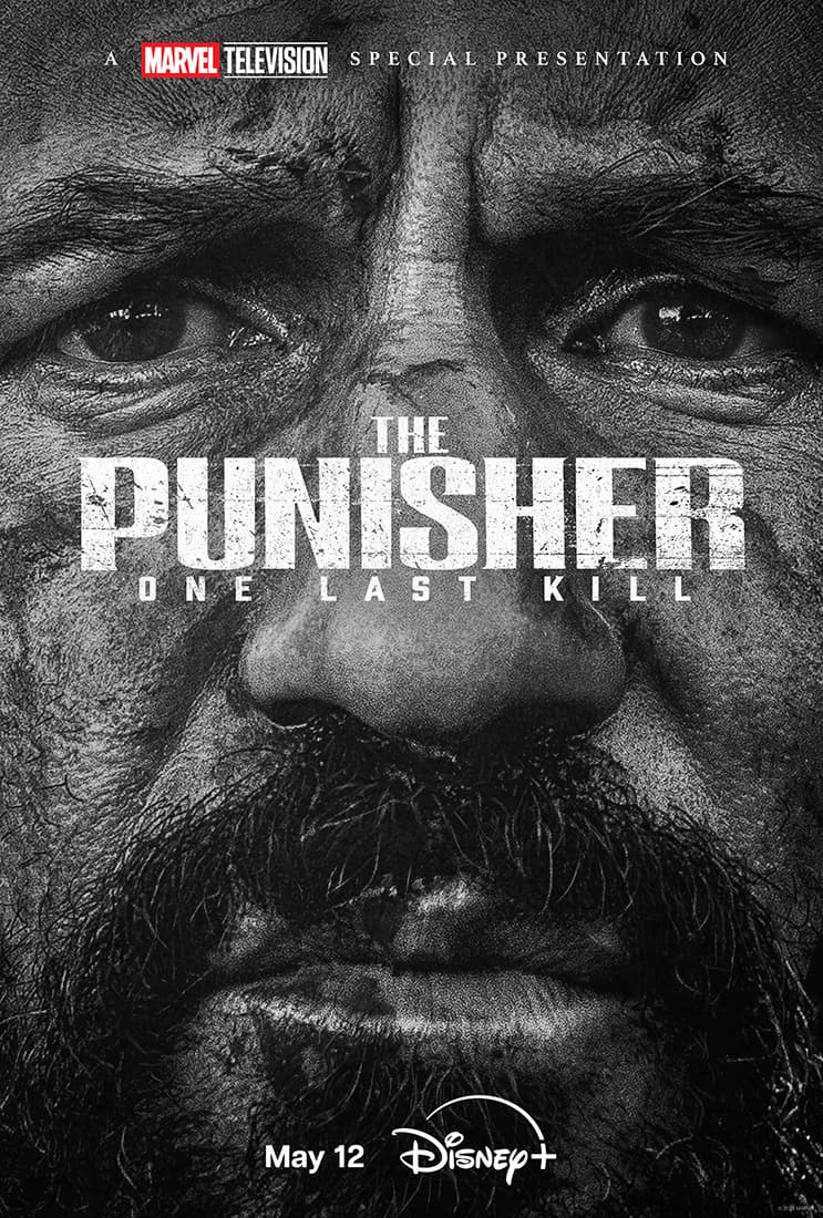 Punisher Special Release Date Poster