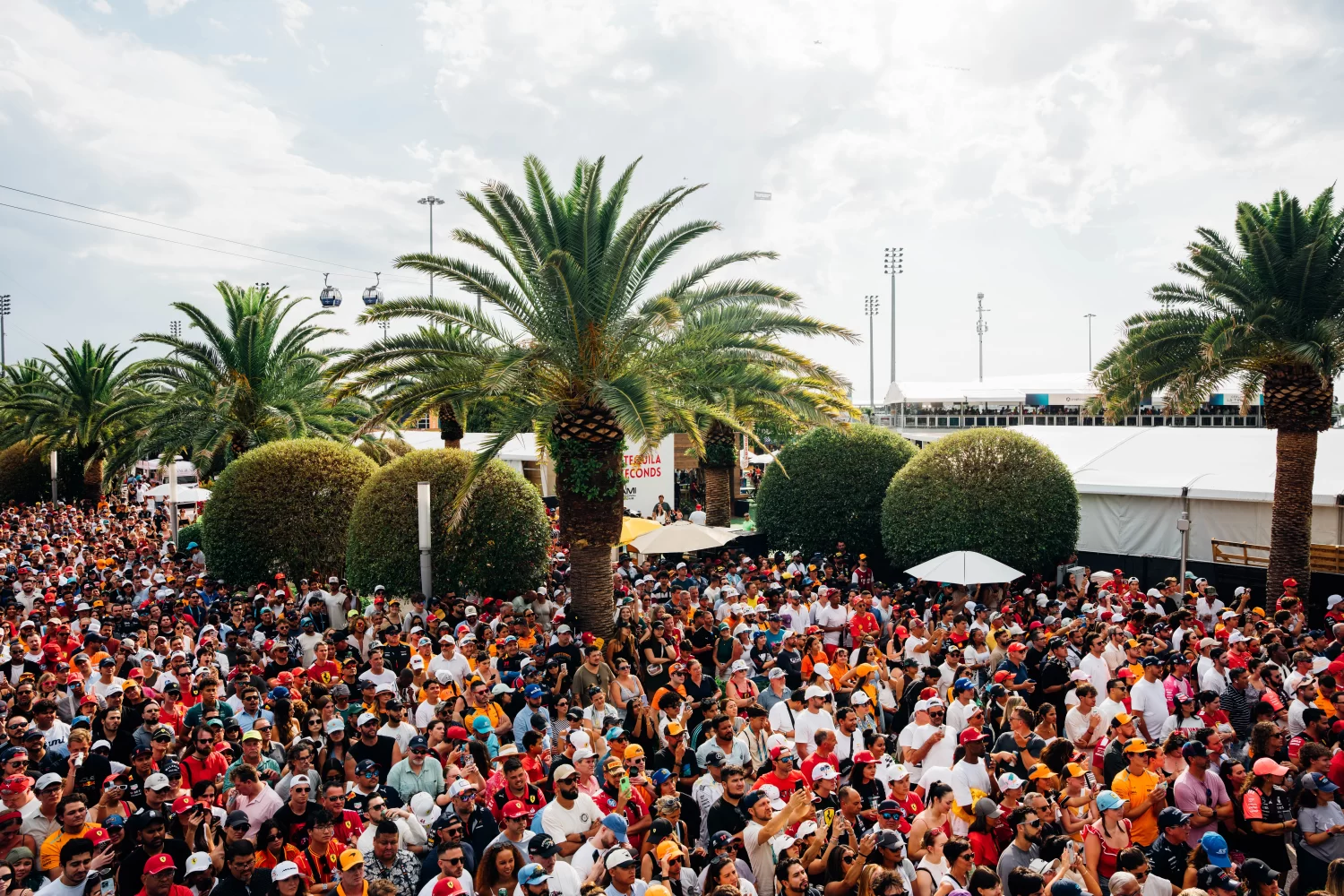 250504 MiamiGP AH0099