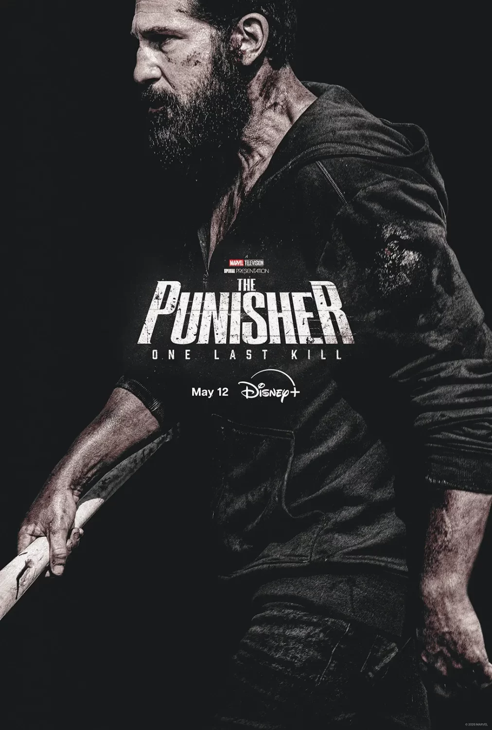 punisher special poster