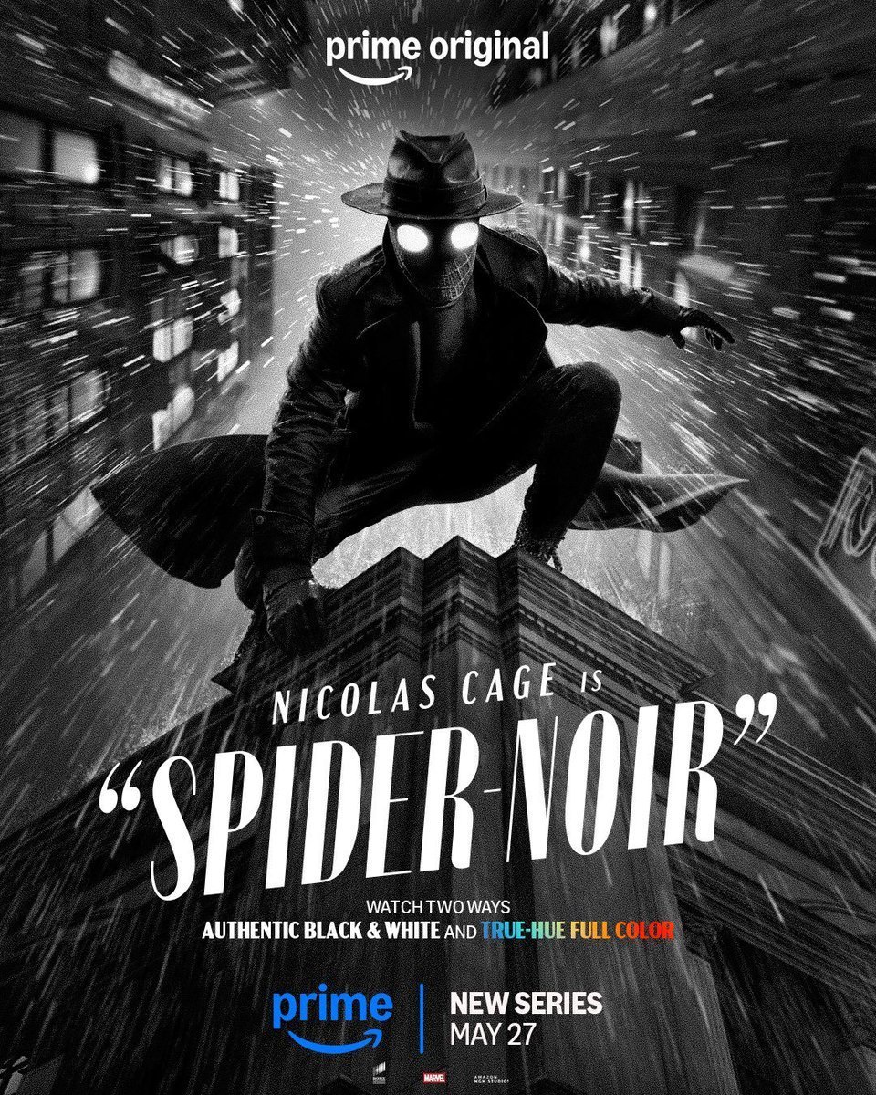 spider noir poster 3
