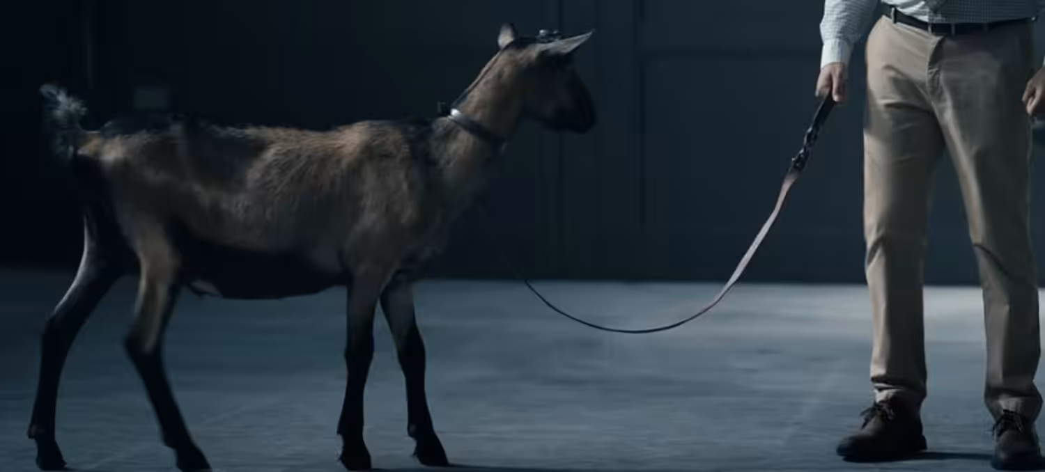 Gen V Goat Elon