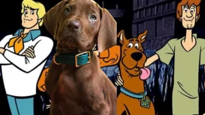 Netflix’s Scooby-Doo Isn’t What Fans Expect In First Live-Action Reveal