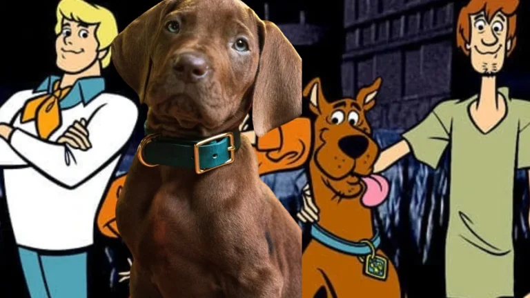 Netflix’s Scooby-Doo Isn’t What Fans Expect In First Live-Action Reveal