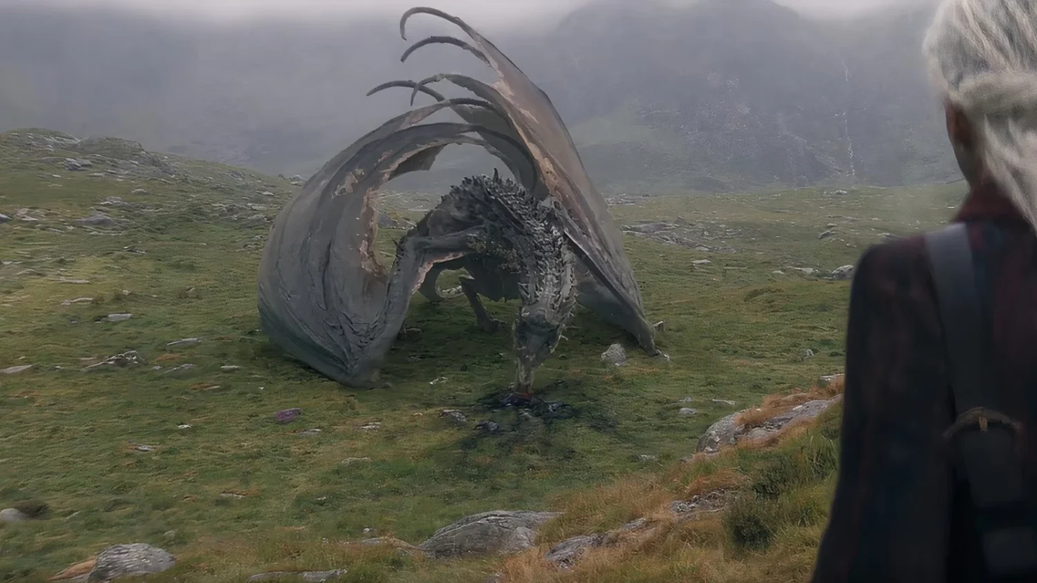 Sheepstealer House Dragon